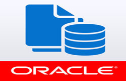 Oracle数据库管理工具有哪些?-北京ky体育(中国)官方网站公司