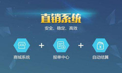 手机直销系统ky体育(中国)官方网站价格-北京软件外包公司
