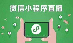 微信小程序开发、直播小程序开发-ky体育(中国)官方网站ky体育(中国)官方网站公司 